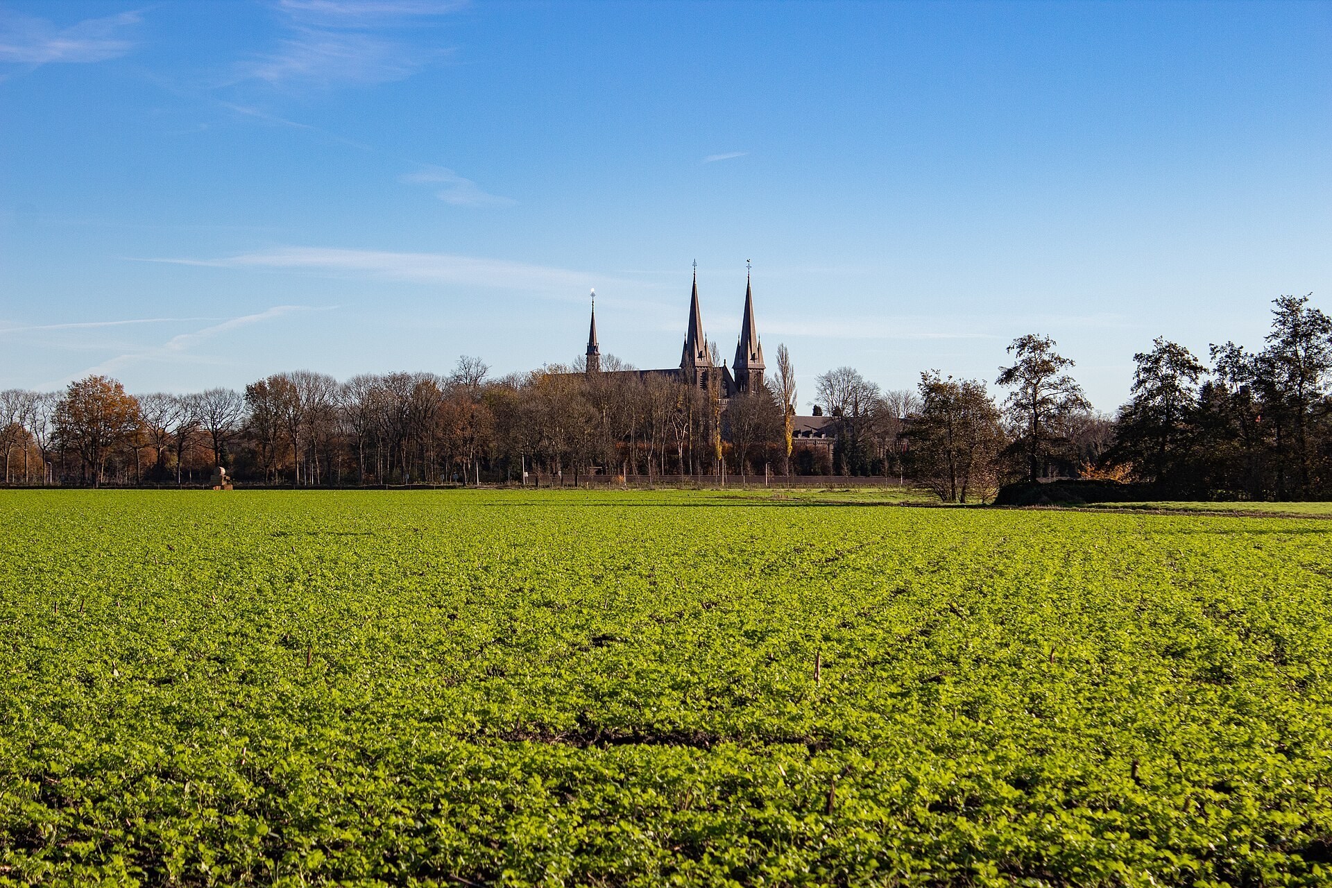 Abdij Koningshoeven gezien over een groen veld