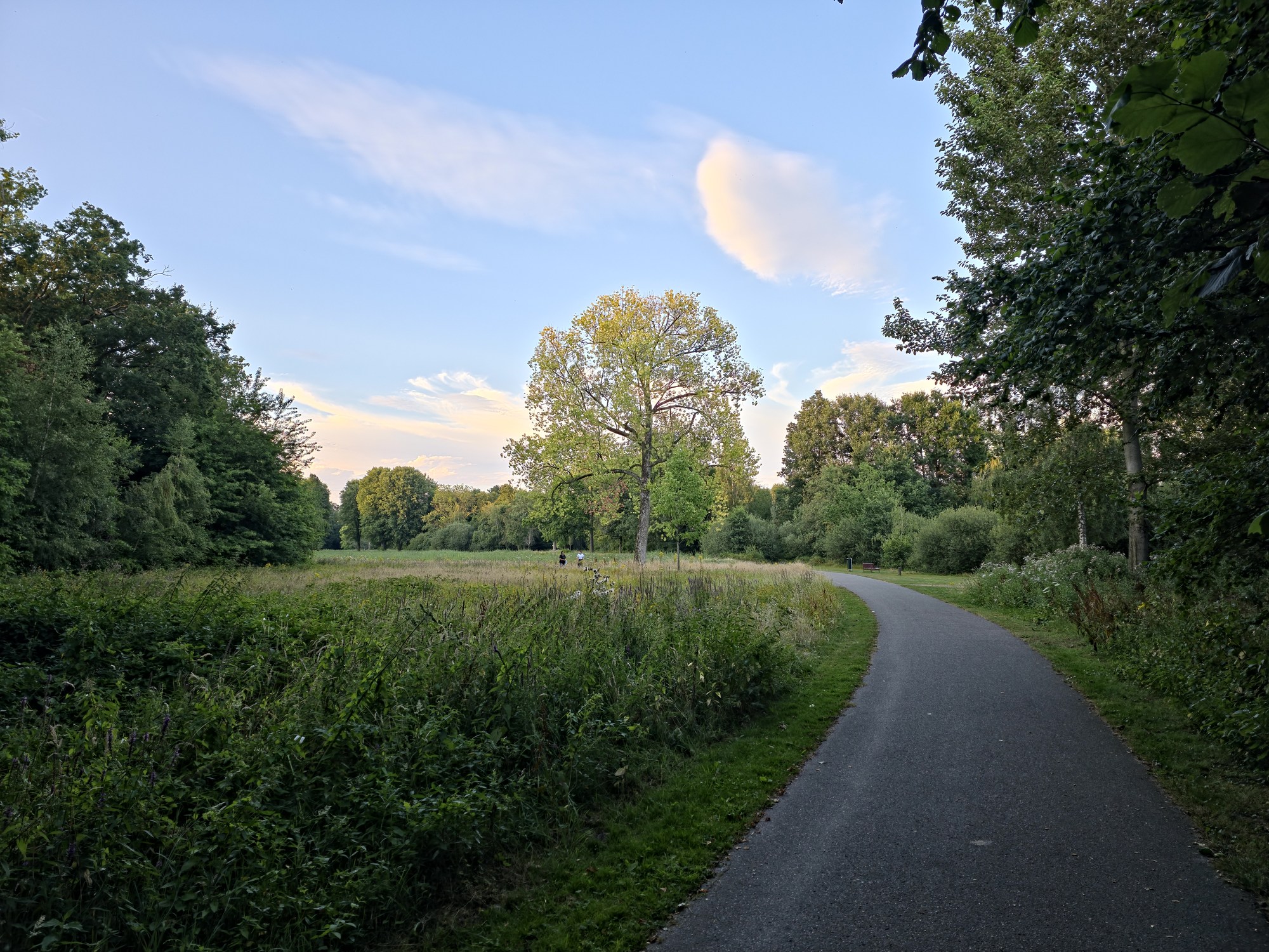 Slingerend wandelpad door het groene Leijpark in Tilburg