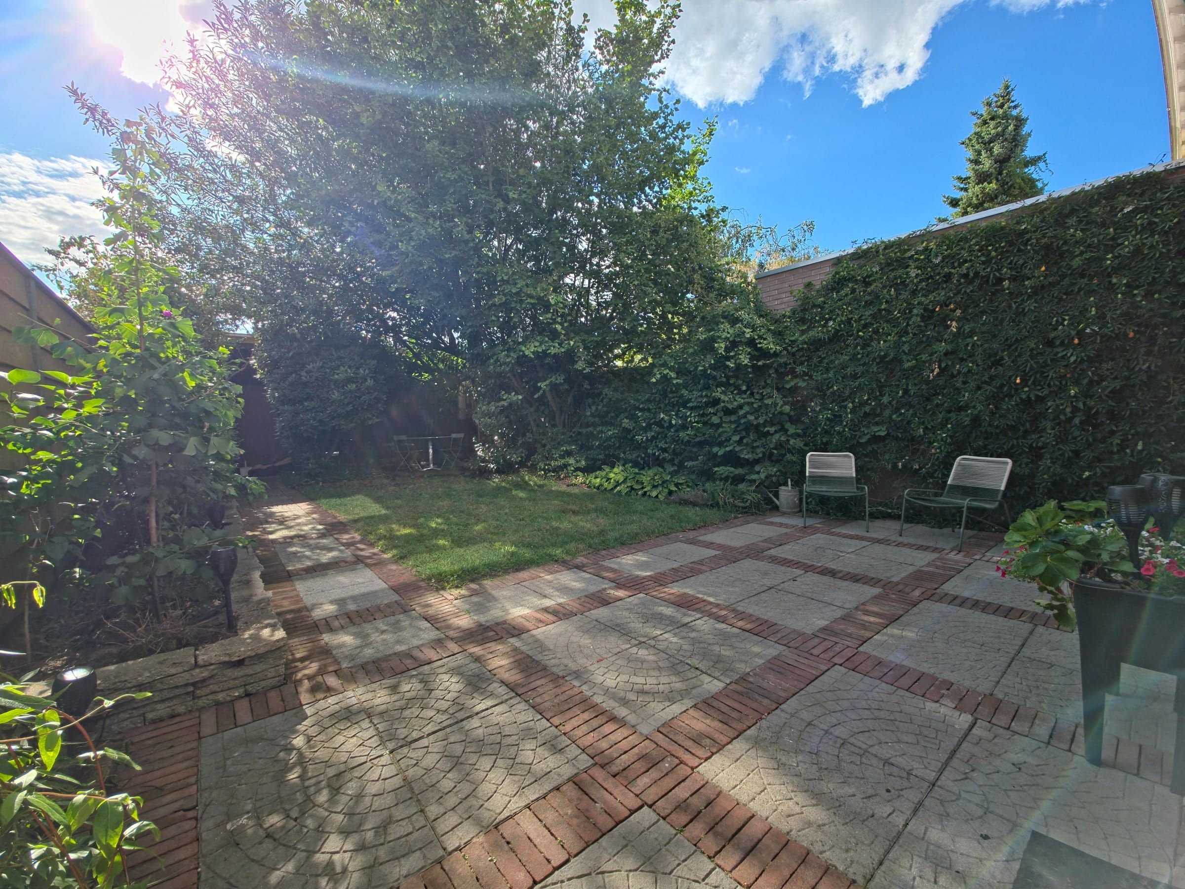 Zonnig overzicht van het terras en de diepe achtertuin