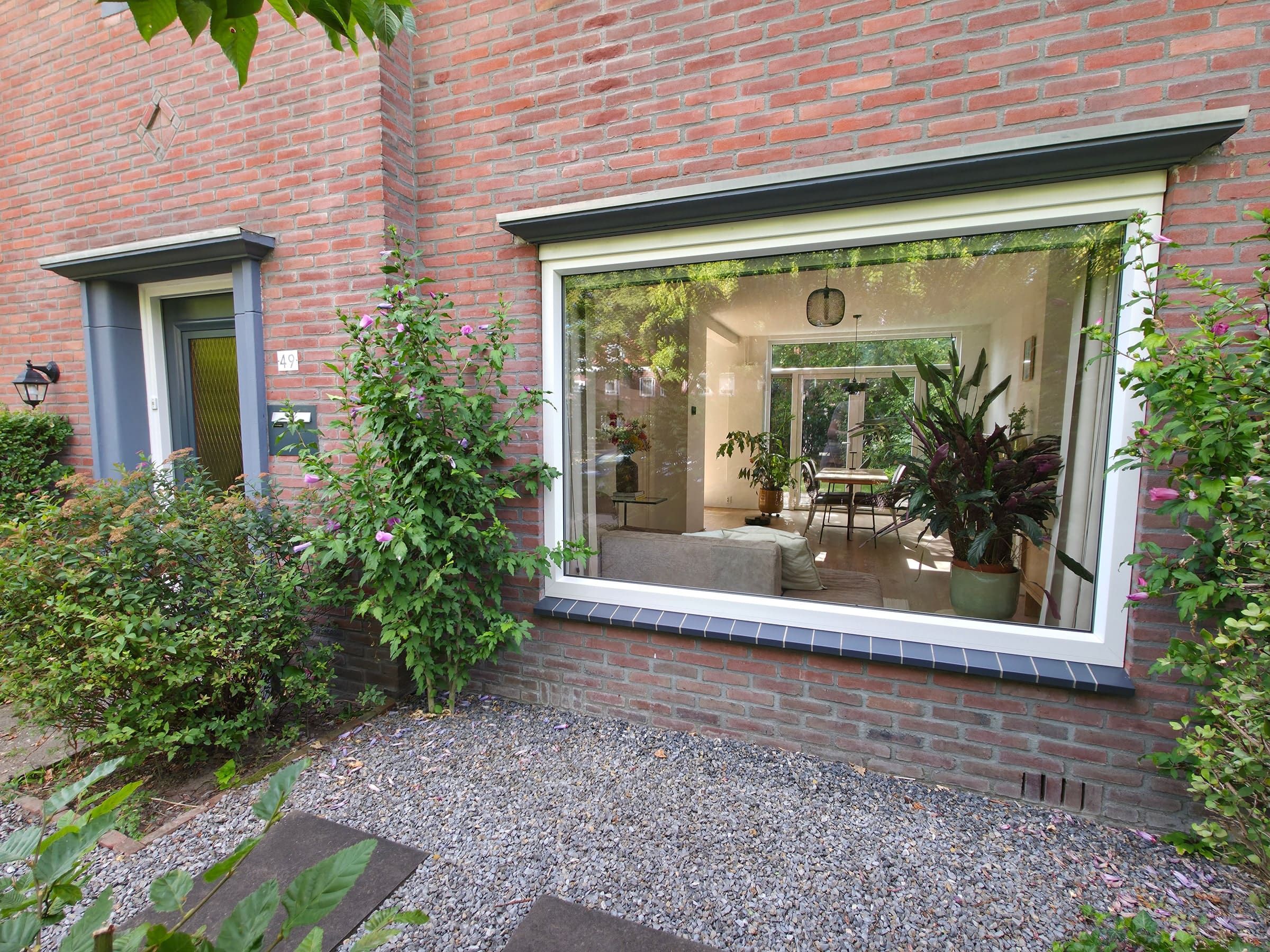 Groot voorraam met bloeiende hibiscussen in de voortuin