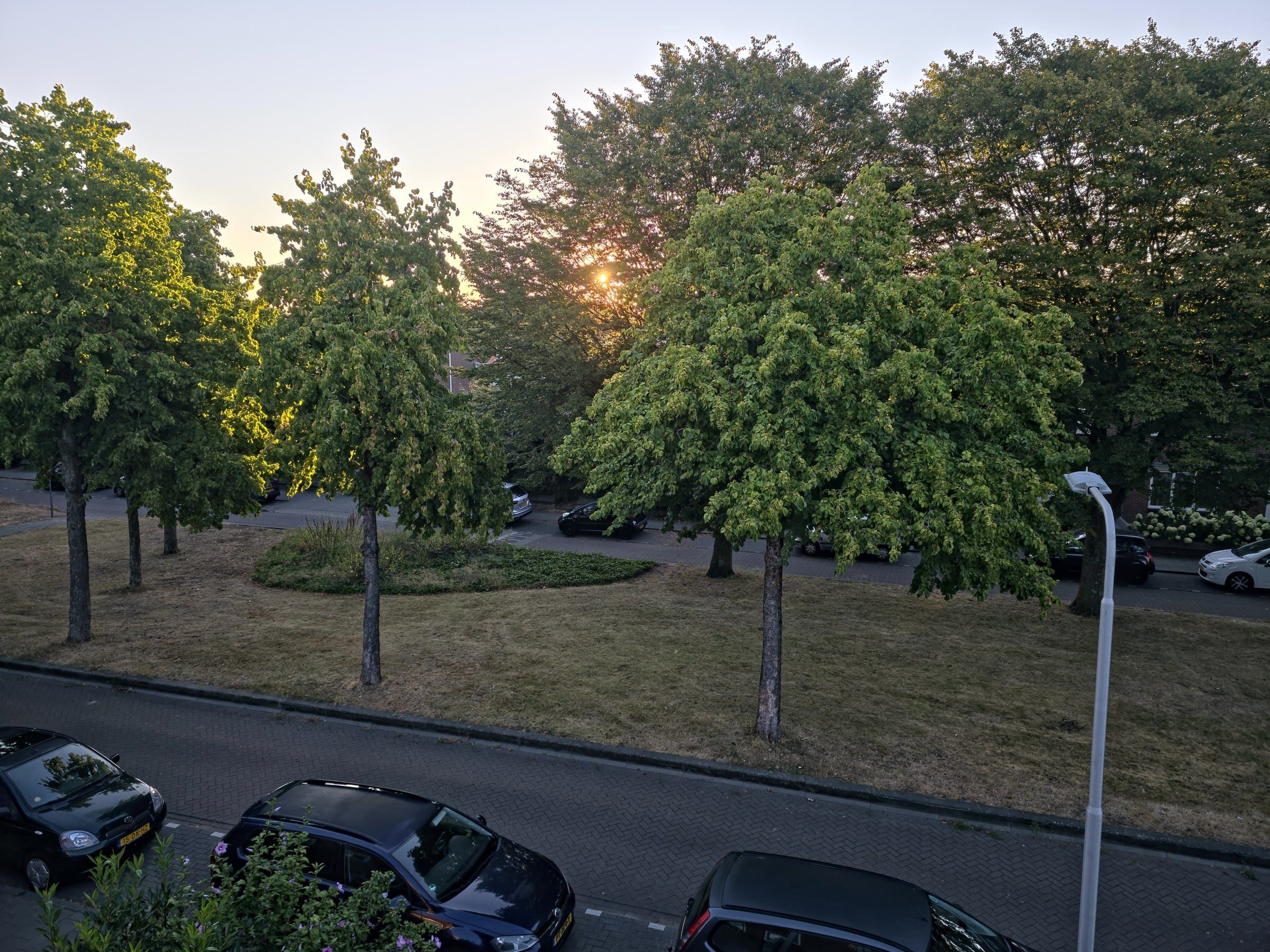 Uitzicht vanuit de woning op de groene middenberm van de Arendlaan