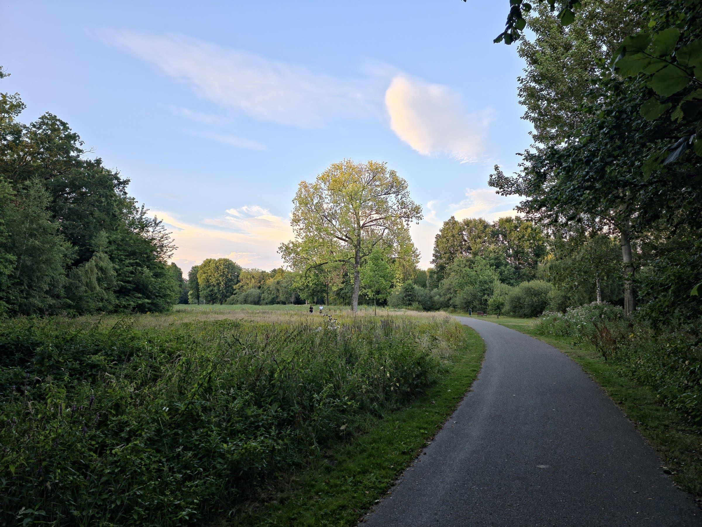 Slingerend wandelpad door het groene Leijpark